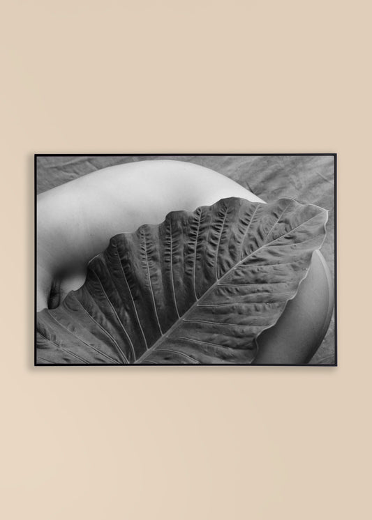 Felicia Masalla - Turning into a leaf