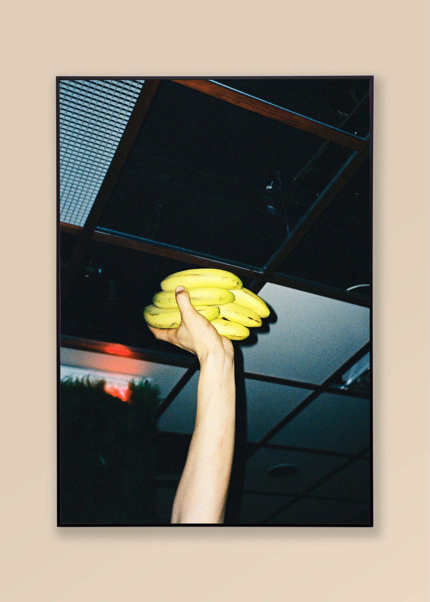 Kegen Lorentzon - Vitamins