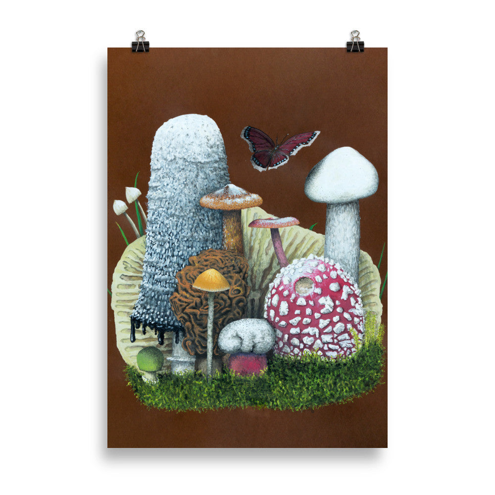 Alexander Felsing - Giftsvampar & sorgmantel