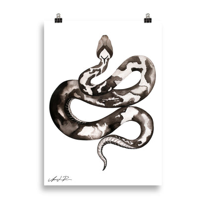 Antonia Pihl - Snake